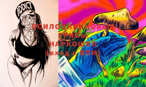 ешки Богородицк