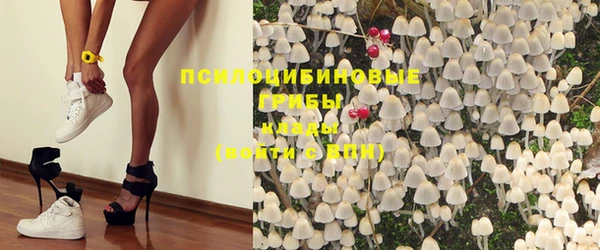 ешки Богородицк