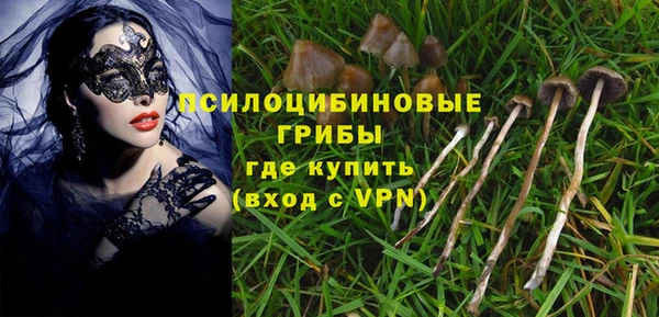 прущие крисы Богданович