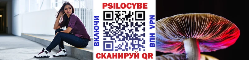 Псилоцибиновые грибы Psilocybine cubensis  продажа наркотиков  kraken сайт  Горно-Алтайск 