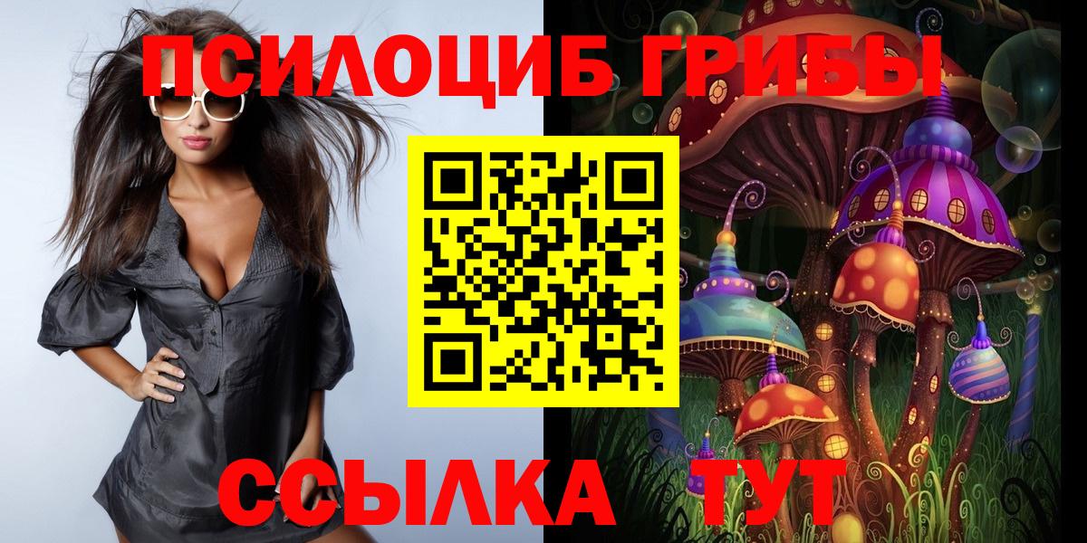 A PVP Горно-Алтайск