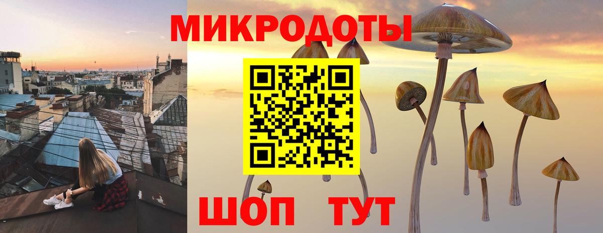 Псилоцибиновые грибы MAGIC MUSHROOMS  Вход с VPN  Горно-Алтайск 