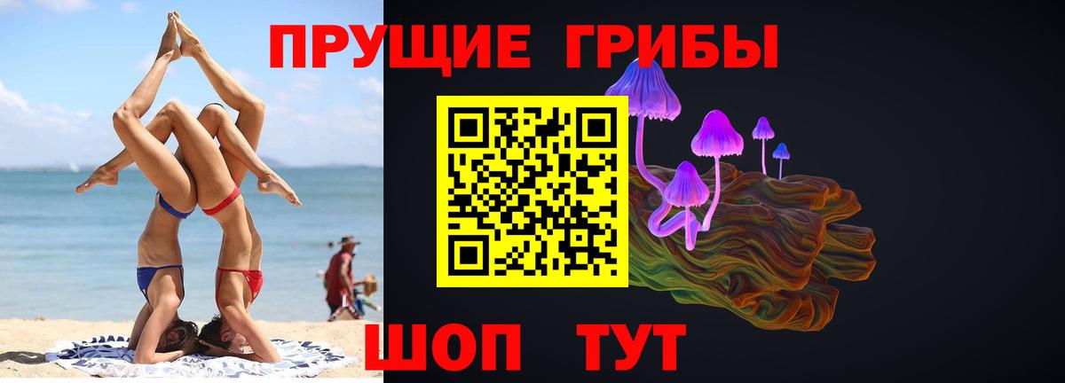 Псилоцибиновые грибы MAGIC MUSHROOMS Горно-Алтайск